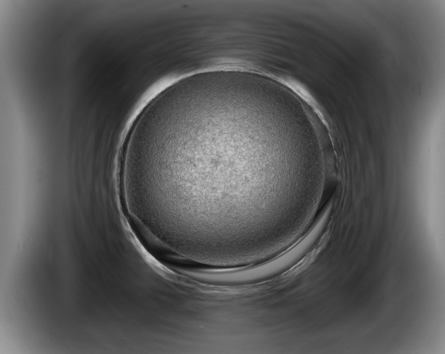X0000086231438200704051147