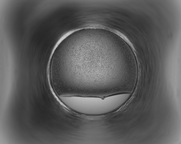 X0000086231440200704051147