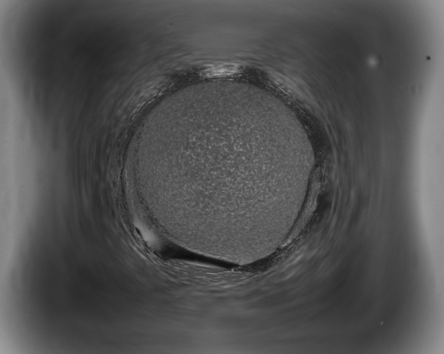X0000086231441200704051146