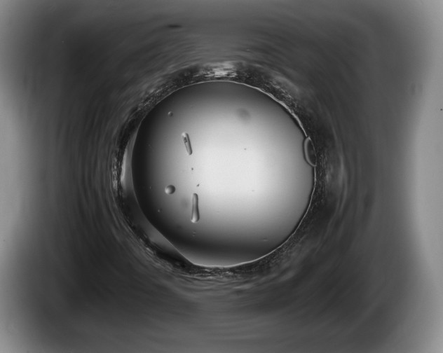 X0000086231442200704051146