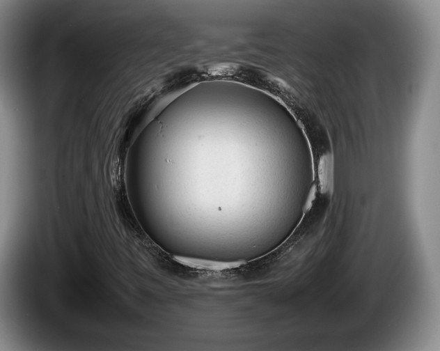 X0000086231443200704051146