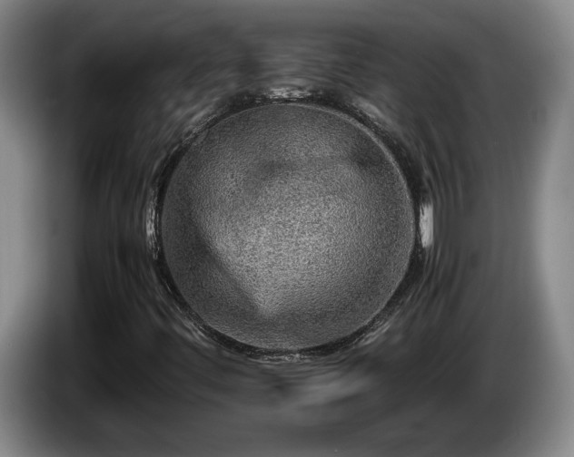 X0000086231444200704051146