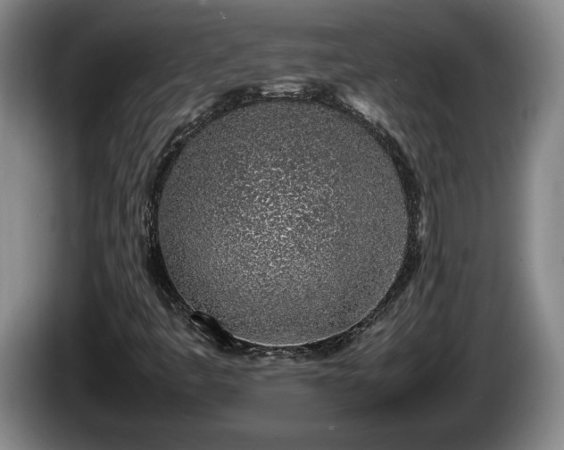 X0000086231445200704051146