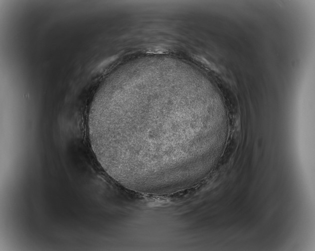 X0000086231446200704051146