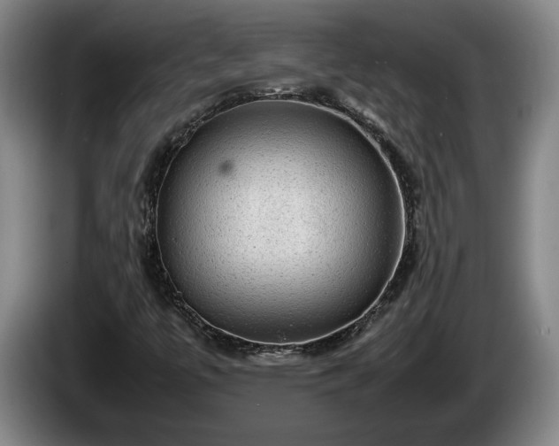 X0000086231447200704051146