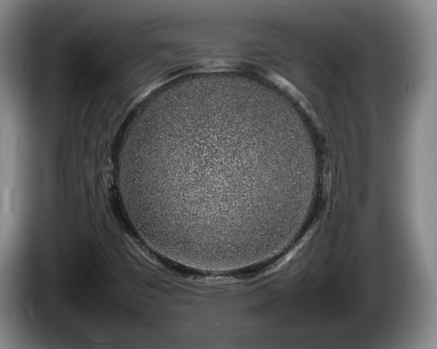 X0000086231449200704051146