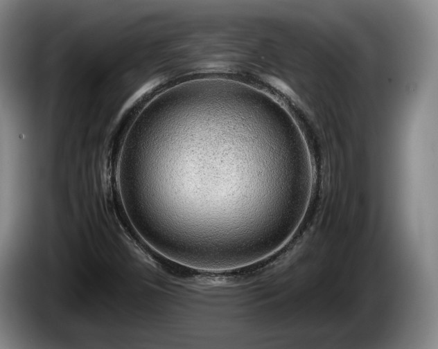 X0000086231450200704051146
