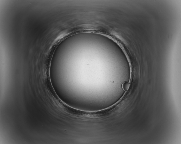 X0000086231451200704051146