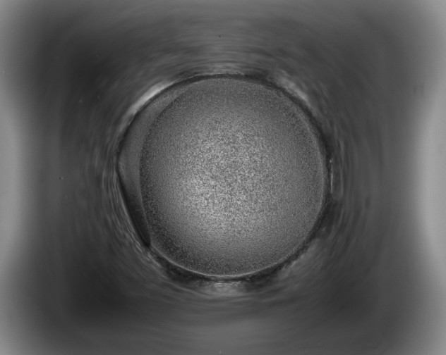 X0000086231453200704051146