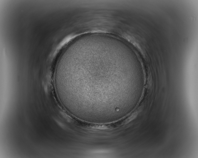 X0000086231454200704051146