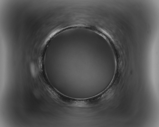 X0000086231455200704051146