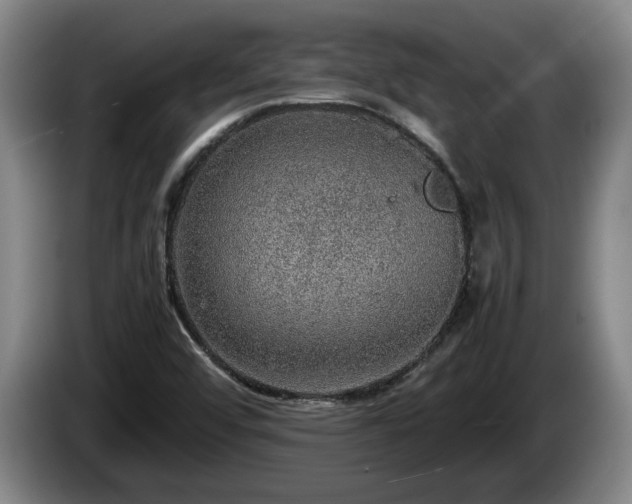 X0000086231456200704051146