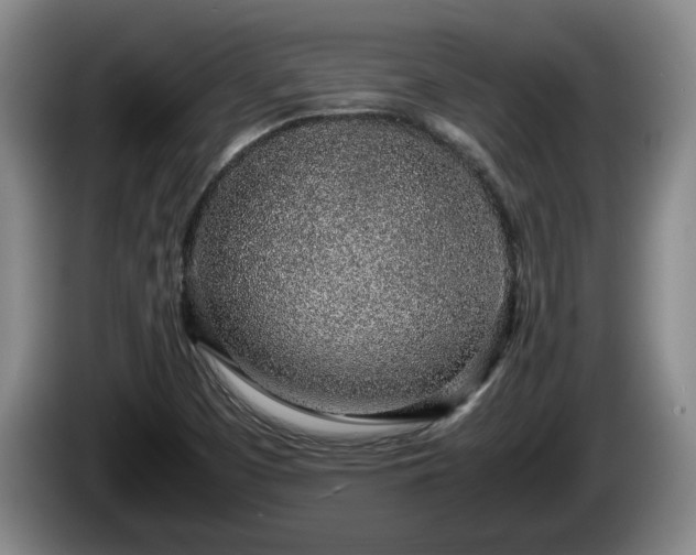 X0000086231457200704051146