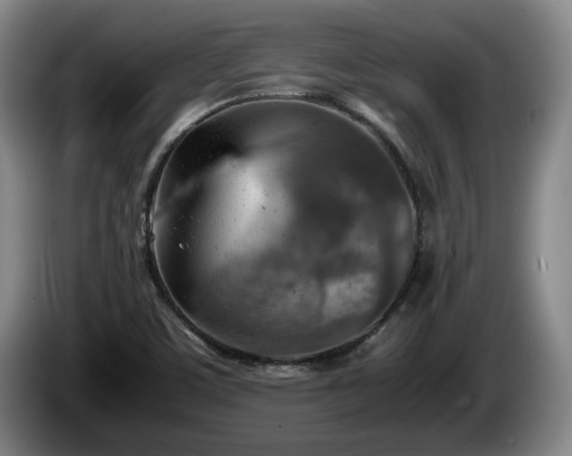 X0000086231459200704051146