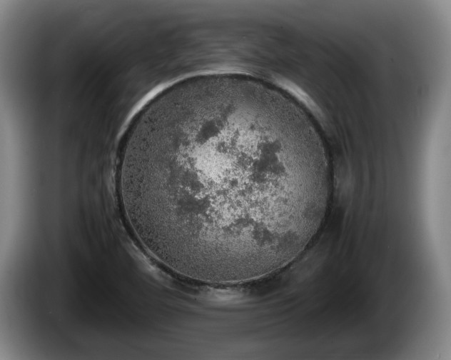 X0000086231460200704051146