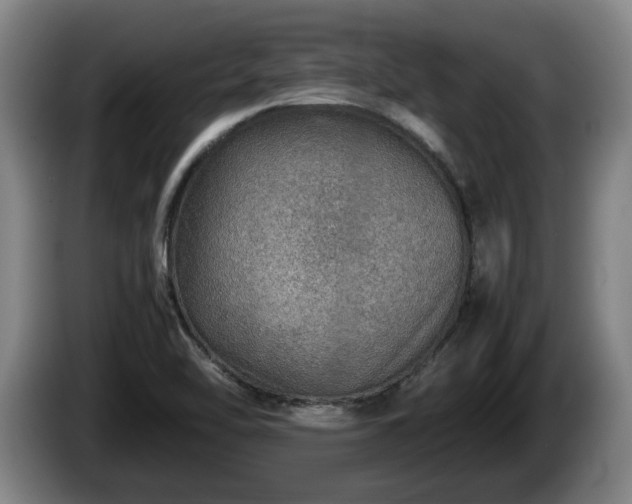 X0000086231462200704051146