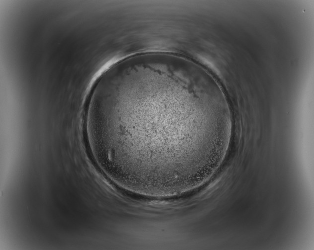 X0000086231463200704051146