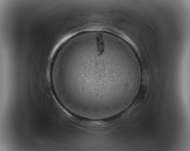 X0000086231464200704051146