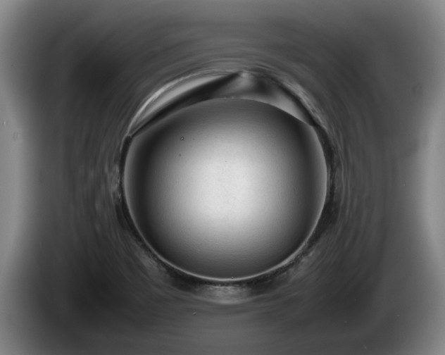 X0000086231465200704051146
