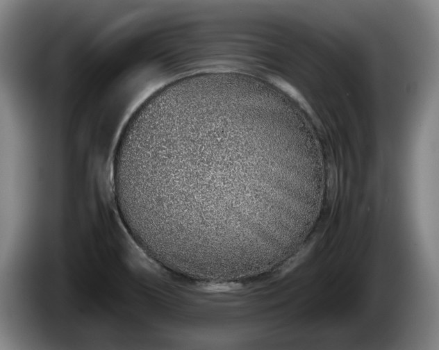 X0000086231466200704051146