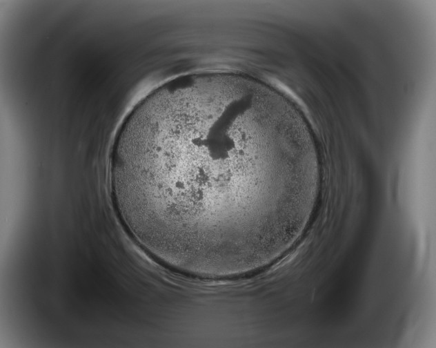 X0000086231467200704051146