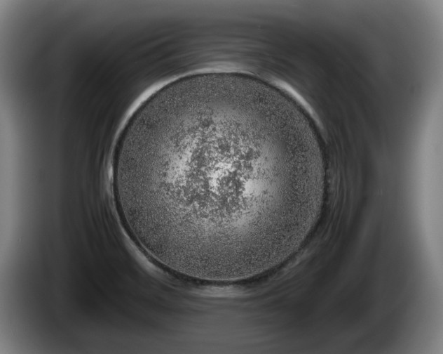 X0000086231468200704051146