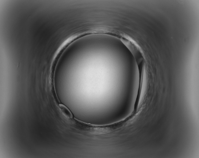 X0000086231469200704051146