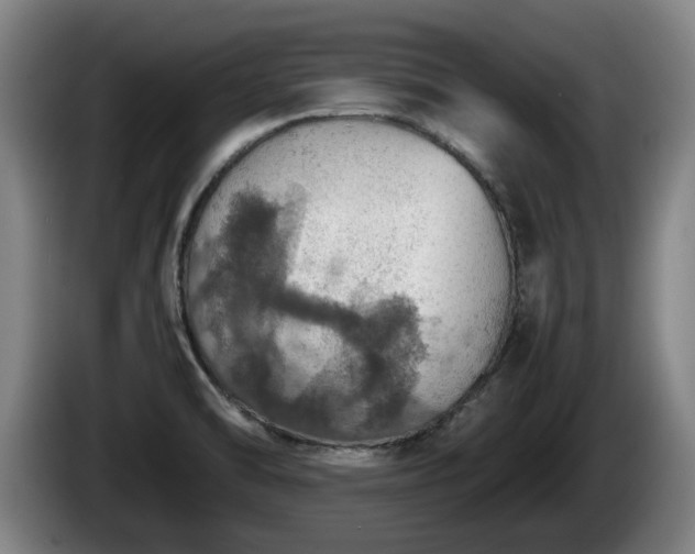X0000086231470200704051146