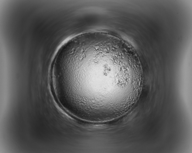 X0000086231471200704051146