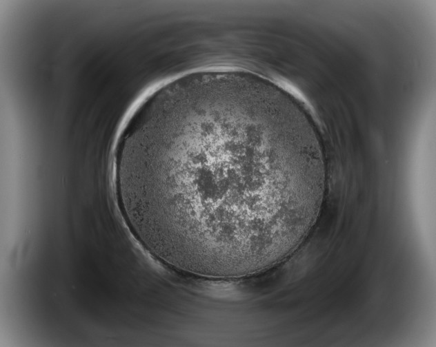 X0000086231472200704051146
