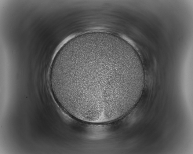 X0000086231474200704051145