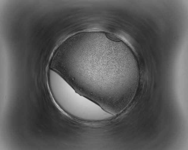 X0000086231476200704051145