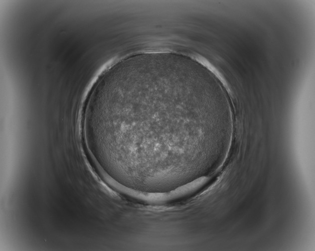 X0000086231477200704051145