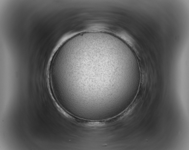X0000086231478200704051145