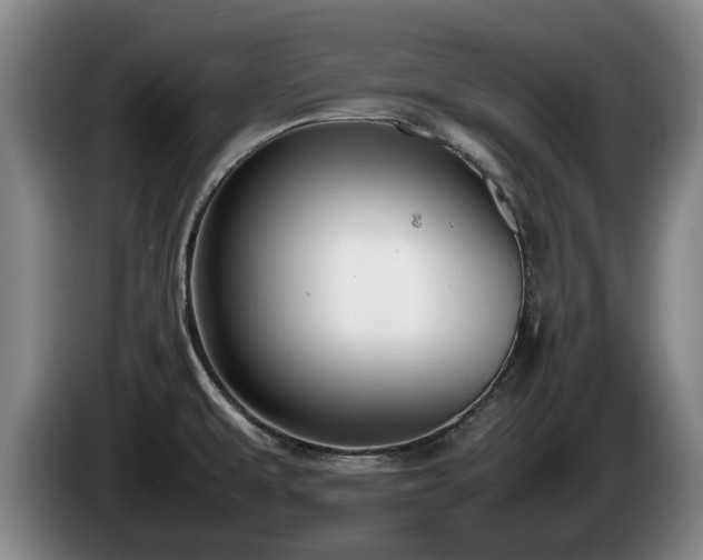X0000086231479200704051145