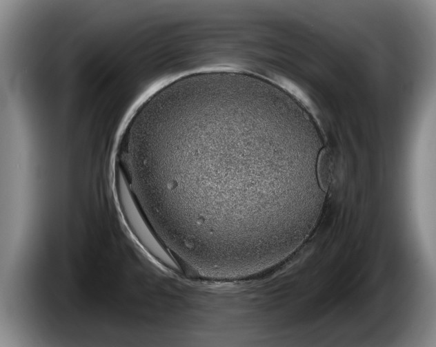 X0000086231480200704051145