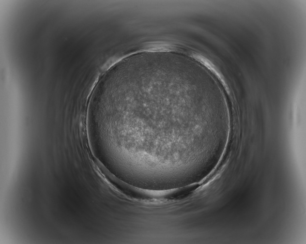 X0000086231481200704051145