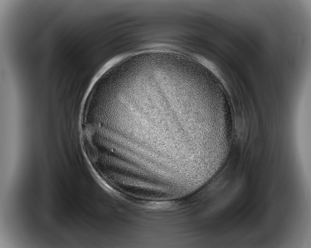 X0000086231482200704051145