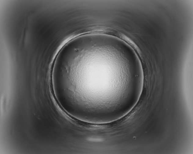 X0000086231483200704051145
