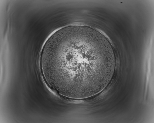 X0000086231484200704051145