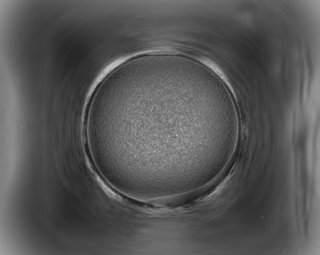 X0000086231485200704051145