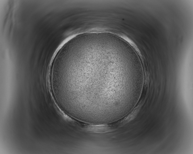 X0000086231486200704051145