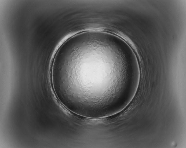 X0000086231488200704051145