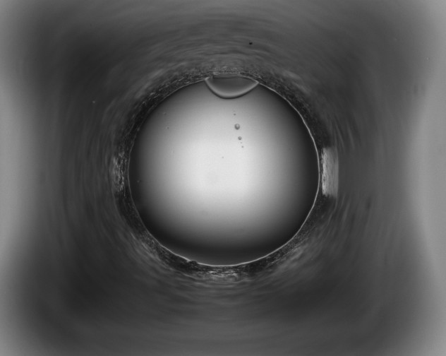 X0000086231491200704051145
