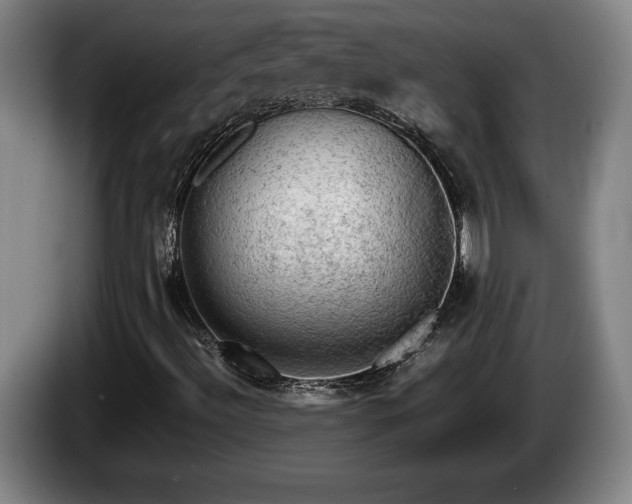 X0000086231492200704051145