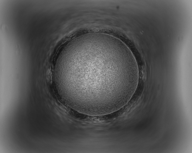 X0000086231493200704051145