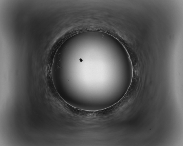 X0000086231495200704051145