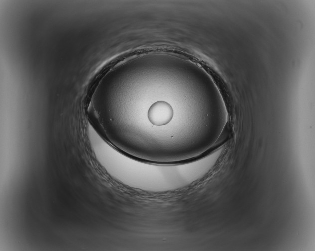 X0000086231496200704051145