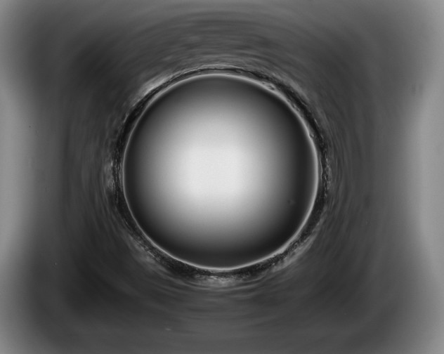X0000086231497200704051145