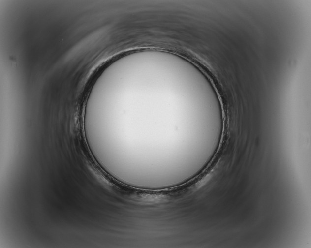X0000086231498200704051145